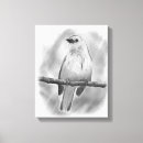 Search for black and white bird canvas prints Illustration