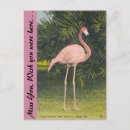 Search for flamingo postcards Travel