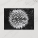 Recherche de pissenlits cartes visite Nature