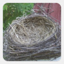 Search for bird nest stickers Nature