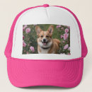 Search for corgi hats Animal