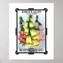 Recherche de fleurs de digitale posters Jardin