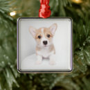 Search for tiny ornaments Puppy