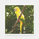 Recherche de aviaire assiettes en papier Photographie