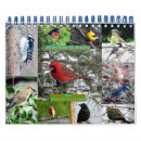 Search for 2016 calendars Wildlife