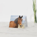 Search for blank horse cards Equine