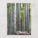 Recherche de bambous cartes postales Pour tous