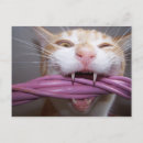 Search for hissing postcards Cute