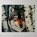 Search for timber wolf posters Wolves