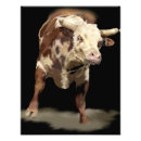 Recherche de taureau taureau art Taureaux