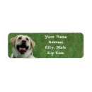 Search for yellow dog return address labels Dogs