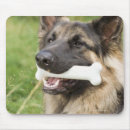 Search for animal bones mousepads Dog