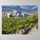 Recherche de pays basque posters De