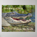 Search for alligators posters Humourous