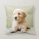 Search for for couch pillows Cute