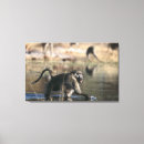 Search for baboon canvas prints Horizontal