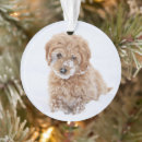 Search for mixed breed dog ornaments Goldendoodle
