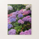 Search for hydrangea puzzles Colourful