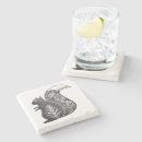 Search for squirrel coasters Animals
