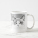Search for ragdoll mugs Fluffy