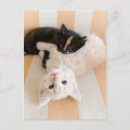 Search for sofa postcards Colour image