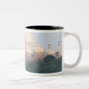 Recherche de taj mahal tasses Architecture
