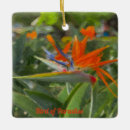 Recherche de paradis ornements Fleur