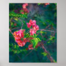 Search for bougainvillea art Flower