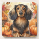 Search for dachshund thanksgiving Doxie