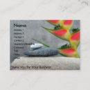 Recherche de roches de zen cartes visite Affaires