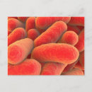 Search for microscopic postcards Biomolecule