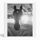 Search for horse photo binders Vintage