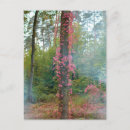 Search for fog vertical postcards Forest