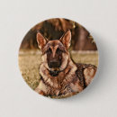Search for german shepherd dog buttons Dogs
