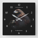 Search for regal clocks Nature