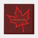 Search for thanksgiving magnets November