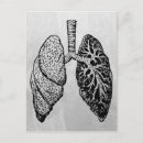 Search for lunge postcards Lungs