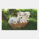 Search for puppy rectangle stickers Dogs