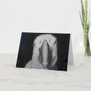 Search for african grey parrot cards Nature