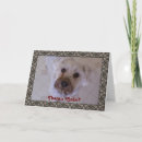 Search for schnauzer cards Miniature