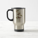 Search for sparrow mugs White throated sparrow