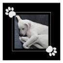 Search for cute dog paw posters Puppy