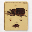 Recherche de rhinoceros tapis souris Insecte