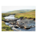 Recherche de souterrains posters Baleines