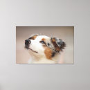 Recherche de chien de berger australien art Chiens
