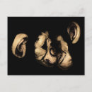 Recherche de petit singe cartes postales Animaux