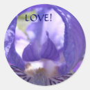 Search for iris flowers stickers Irises