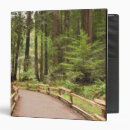 Search for marin avery binders Forest