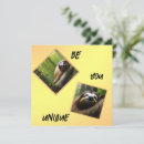 Search for sloth cards Wildlife