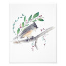Search for titmouse posters Wildlife